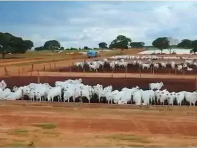 Fazenda venda em Região Geográfica Imediata de Unaí, Região Integrada de Desenvolvimento do Distrito Federal e Entorno