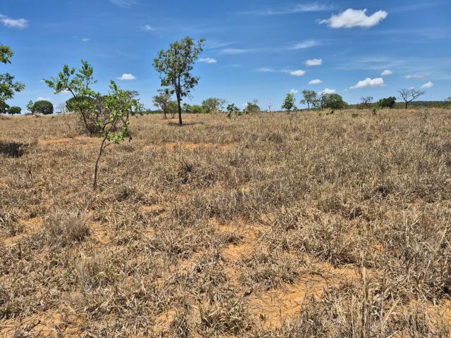 Fazenda venda em Unaí, Região Geográfica Intermediária de Patos de Minas