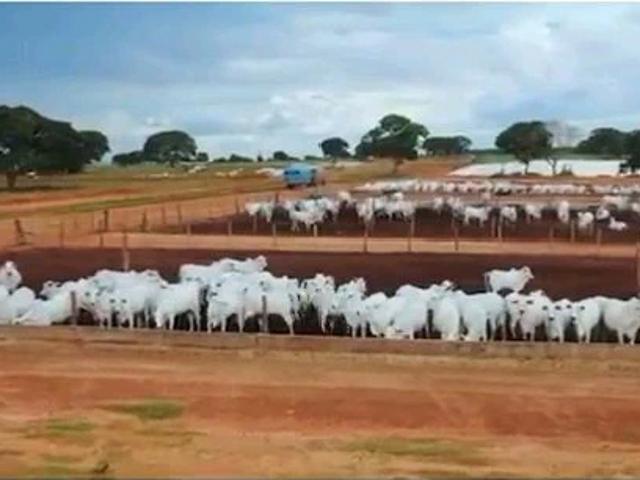Fazenda venda em Unaí, Região Geográfica Intermediária de Patos de Minas
