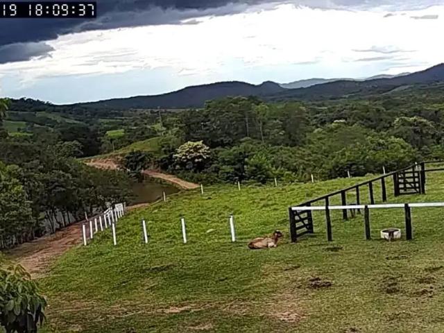 Fazenda venda em Região Geográfica Imediata de Unaí, Região Integrada de Desenvolvimento do Distrito Federal e Entorno