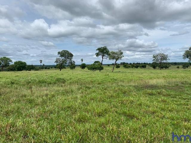 Fazenda venda em Região Geográfica Imediata de Iturama, União de Minas