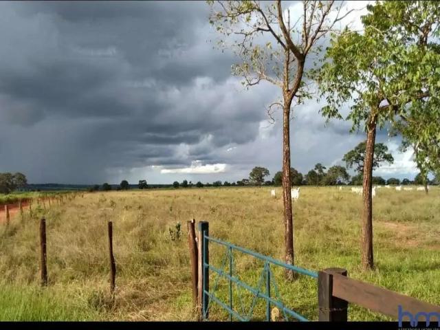 Fazenda venda em Região Geográfica Imediata de Iturama, União de Minas