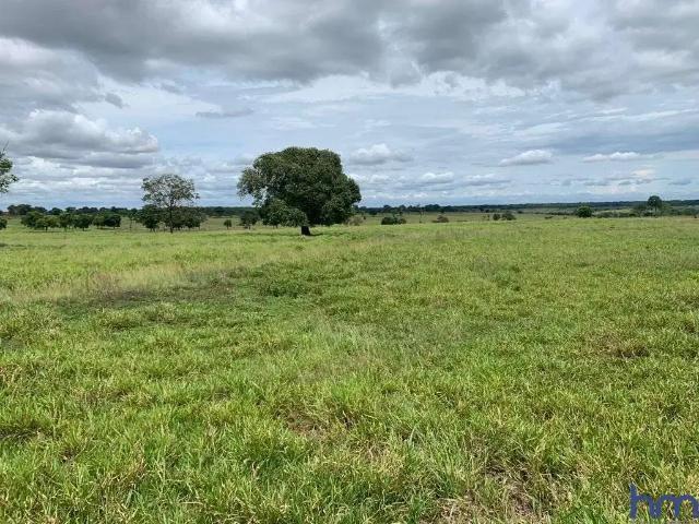 Fazenda venda em Região Geográfica Imediata de Iturama, União de Minas