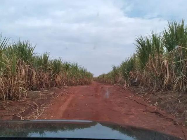 Fazenda venda em Região Geográfica Imediata de Iturama, União de Minas