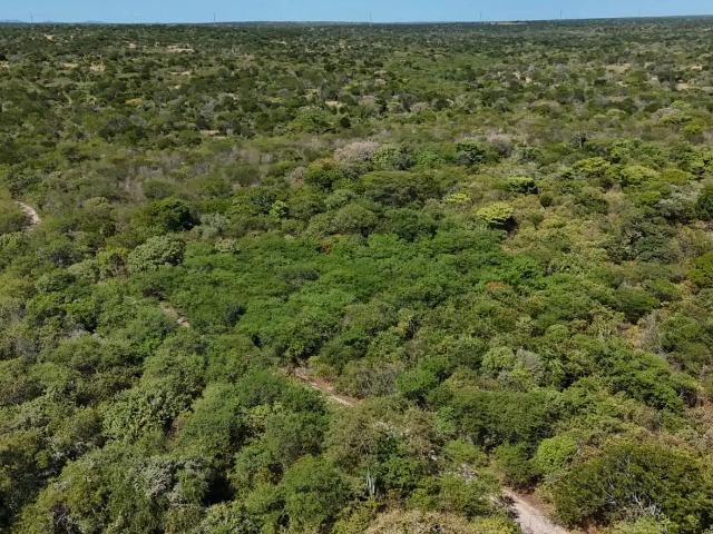 Fazenda venda em Região Geográfica Imediata de Mossoró, Upanema