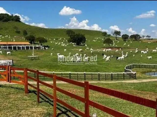 Fazenda venda em Região Geográfica Imediata de Cornélio Procópio-Bandeirantes, Uraí