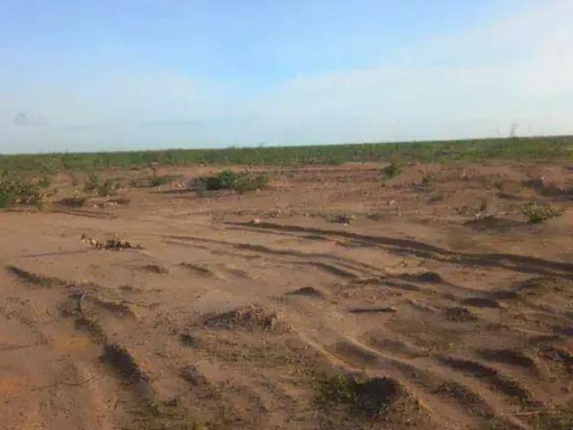 Fazenda venda em Região Geográfica Imediata de Marechal Cândido Rondon, Nova Santa Rosa