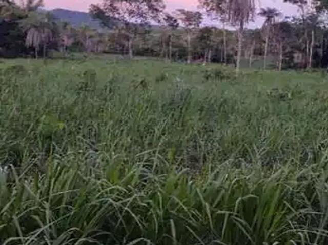 Fazenda venda em Região Geográfica Imediata de Uruaçu - Niquelândia, Uruaçu