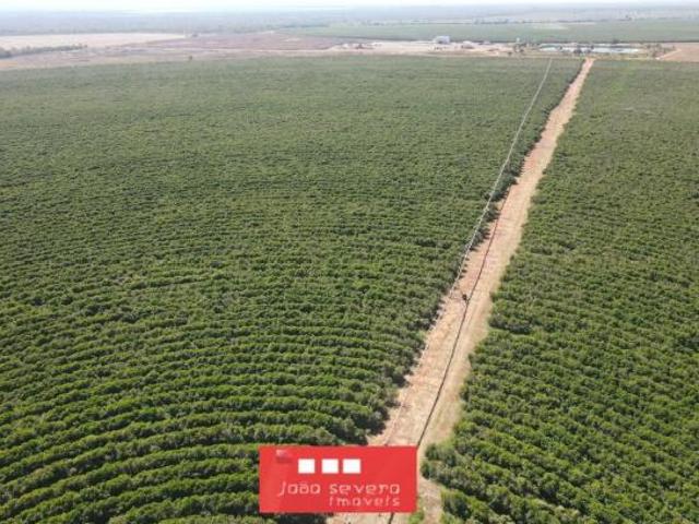 Sítio e chácara venda em Região Geográfica Imediata de Unaí, Urucuia