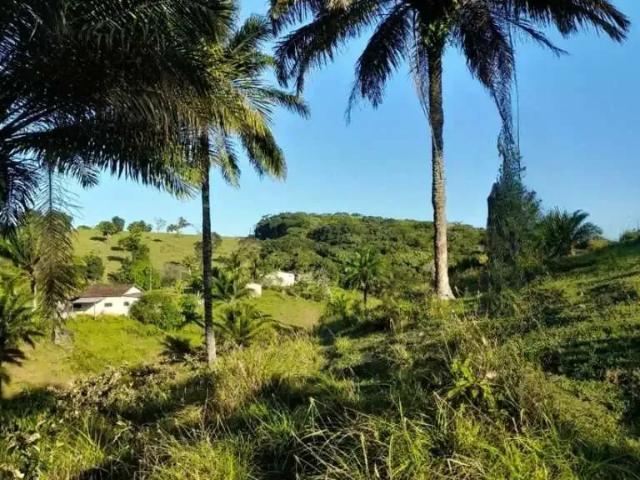 Fazenda venda em Valença