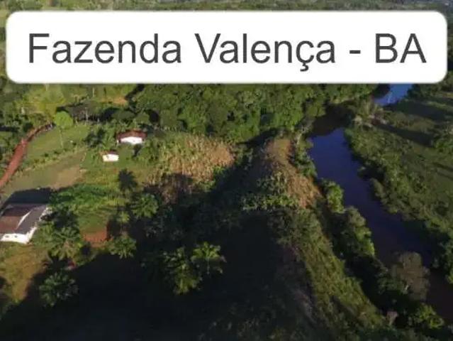 Fazenda venda em Região Geográfica Imediata de Valença, Valença