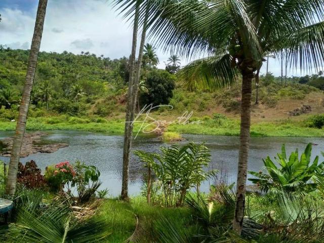 Fazenda venda em Valença