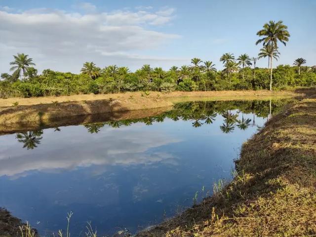 Fazenda venda em Região Geográfica Imediata de Valença, Valença
