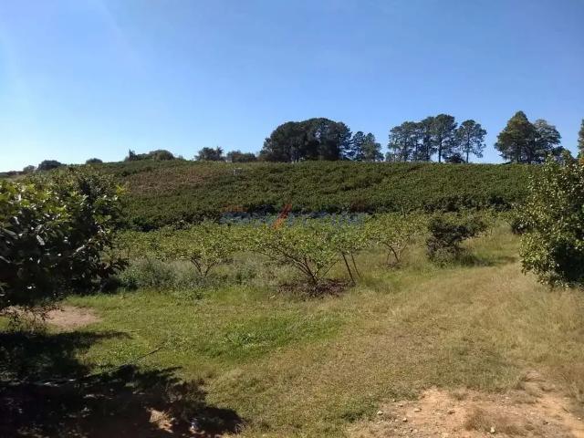 Fazenda venda em Região Imediata de Campinas, Região Metropolitana de Campinas