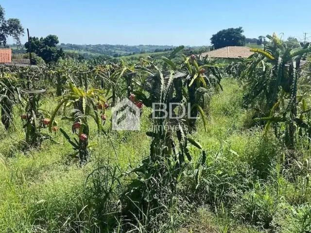 Fazenda venda em Região Imediata de Campinas, Região Metropolitana de Campinas
