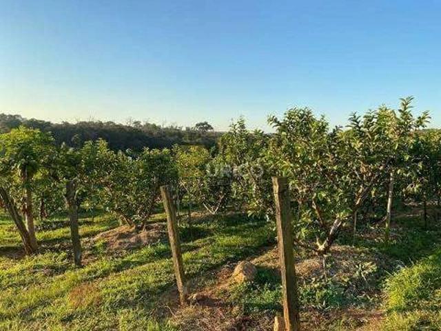 Fazenda venda em Região Imediata de Campinas, Região Metropolitana de Campinas