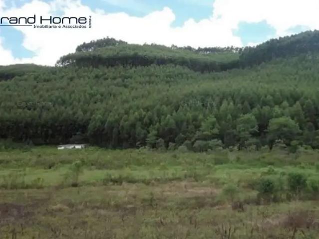 Fazenda venda em Região Geográfica Imediata de Cachoeiro de Itapemirim, Vargem Alta