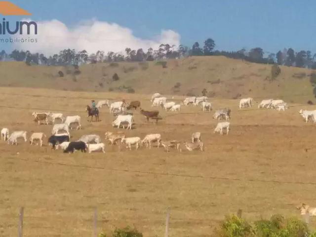 Fazenda venda em Região Imediata de Bragança Paulista, Vargem