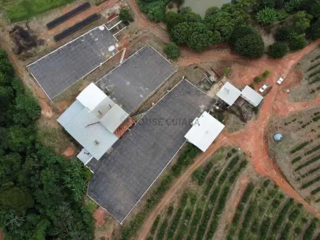 Fazenda venda em Região Geográfica Imediata de Patos de Minas, Patos de Minas