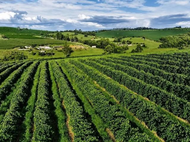 Fazenda venda em Região Geográfica Imediata de Varginha, Varginha