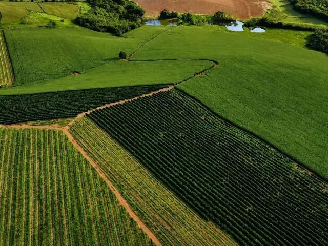 Fazenda venda em Região Geográfica Imediata de Varginha, Varginha