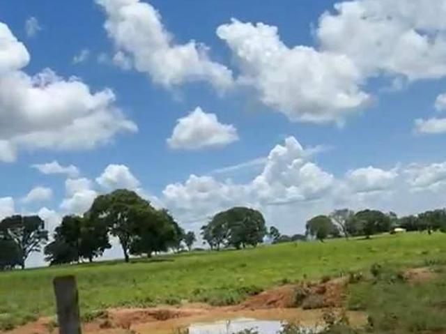 Sítio e chácara venda em Região Geográfica Imediata de Pirapora, Várzea da Palma