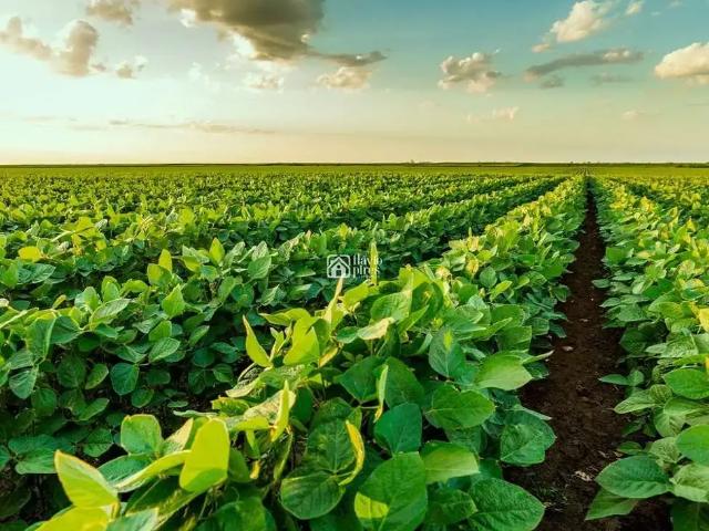 Fazenda venda em Região Geográfica Imediata de Pirapora, Várzea da Palma