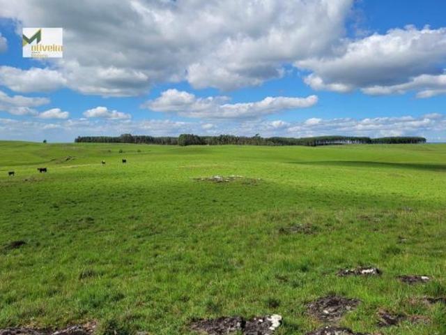 Sítio e chácara venda em Rincão, São Francisco de Paula