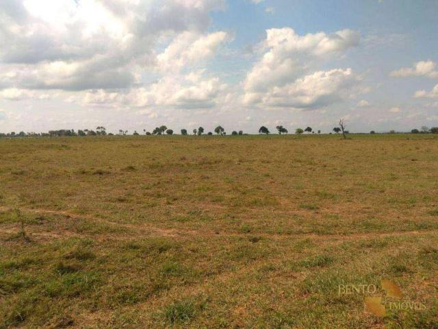 Fazenda venda em Centro Sul, Várzea Grande
