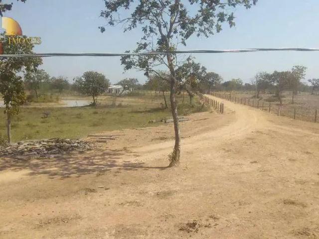 Fazenda venda em Região Geográfica Imediata de Cuiabá, Região Metropolitana do Vale do Rio Cuiabá