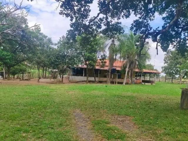 Fazenda venda em Região Geográfica Imediata de Cuiabá, Região Metropolitana do Vale do Rio Cuiabá
