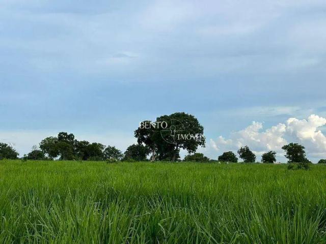 Fazenda venda em Região Geográfica Imediata de Cuiabá, Região Metropolitana do Vale do Rio Cuiabá