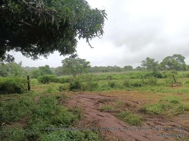 Fazenda venda em Região Geográfica Imediata de Cuiabá, Região Metropolitana do Vale do Rio Cuiabá