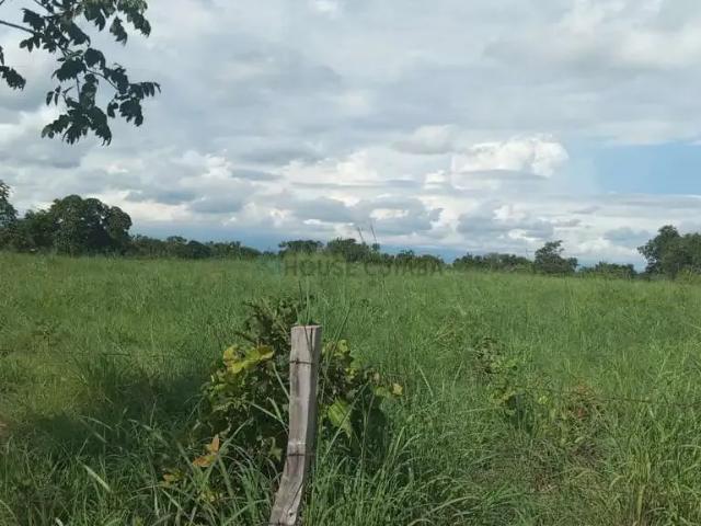 Fazenda venda em Região Geográfica Imediata de Cuiabá, Região Metropolitana do Vale do Rio Cuiabá