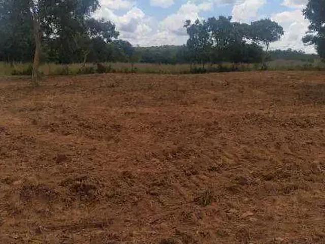Fazenda venda em Região Geográfica Imediata de Cuiabá, Região Metropolitana do Vale do Rio Cuiabá