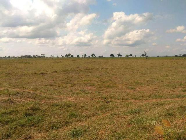 Fazenda venda em Região Geográfica Imediata de Cuiabá, Região Metropolitana do Vale do Rio Cuiabá
