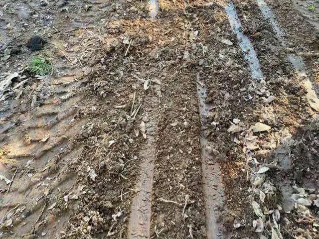 Fazenda venda em Região Geográfica Imediata de Cuiabá, Região Metropolitana do Vale do Rio Cuiabá