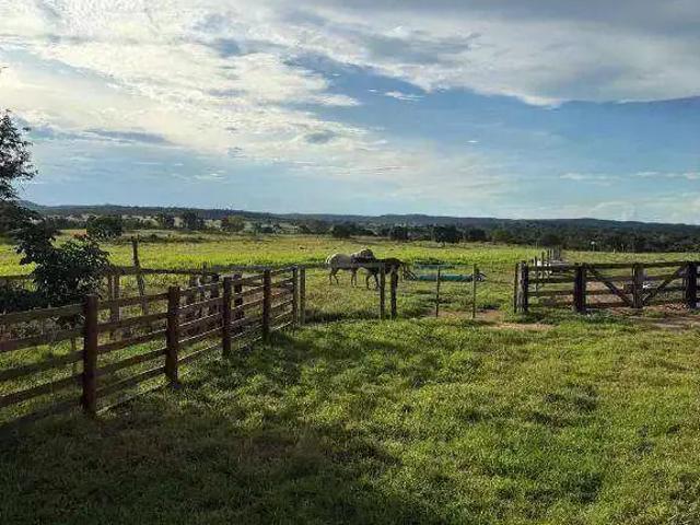 Fazenda venda em Região Geográfica Imediata de Cuiabá, Região Metropolitana do Vale do Rio Cuiabá