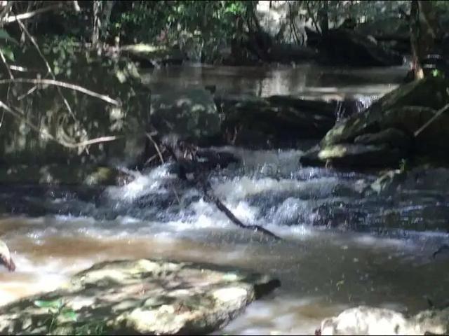 Fazenda venda em Região Geográfica Imediata de Cuiabá, Região Metropolitana do Vale do Rio Cuiabá