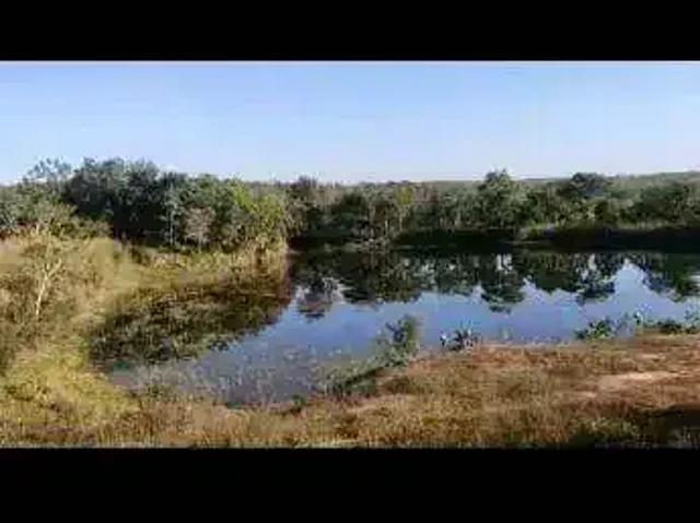 Fazenda venda em Região Geográfica Imediata de Cuiabá, Região Metropolitana do Vale do Rio Cuiabá