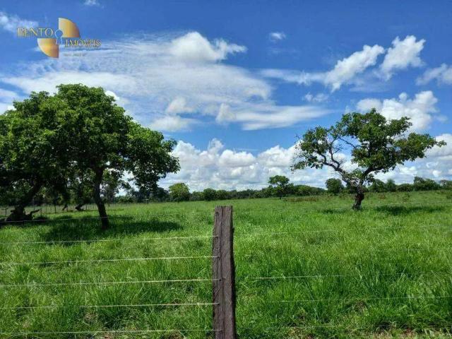 Fazenda venda em Região Geográfica Imediata de Cuiabá, Região Metropolitana do Vale do Rio Cuiabá