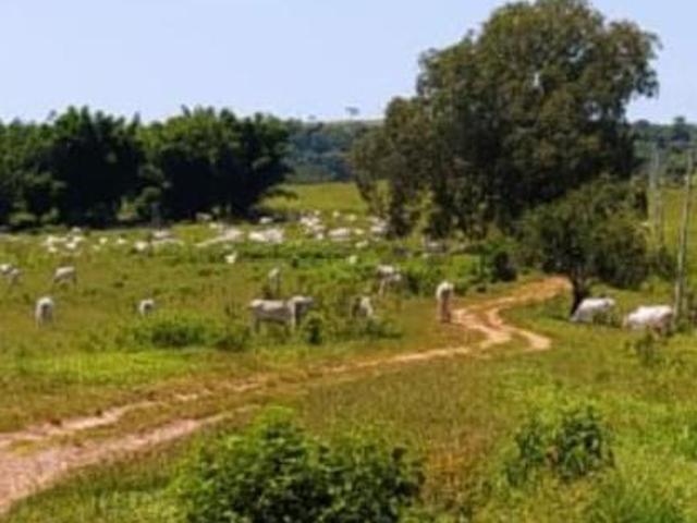 Sítio e chácara venda em Região Imediata de Marília, Região Sudeste