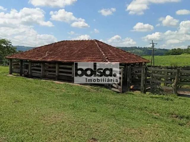 Fazenda venda em Vera Cruz, Região Geográfica Intermediária de Marília