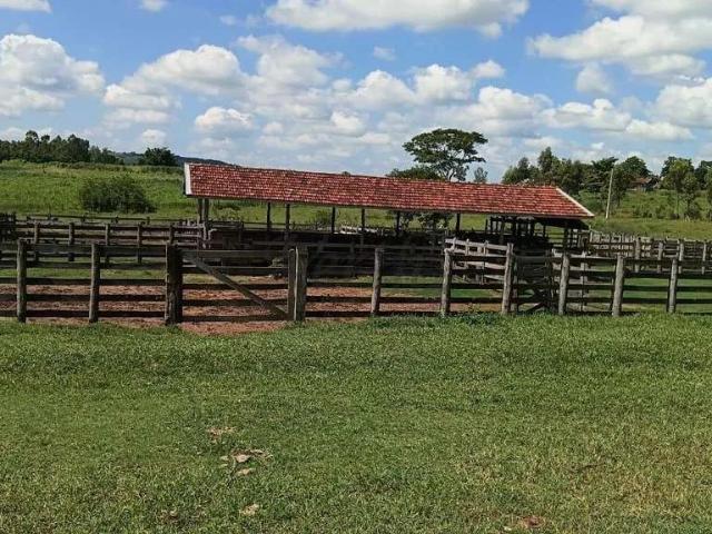 Fazenda venda em Vera Cruz