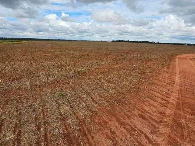 Fazenda venda em Vera, Região Geográfica Intermediária de Sinop
