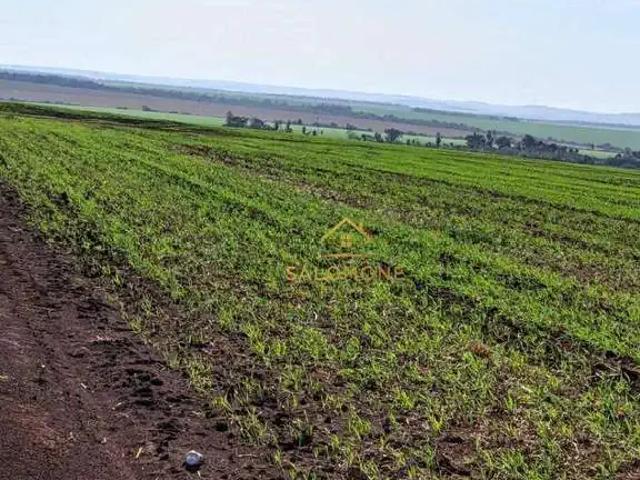 Fazenda venda em Região Geográfica Imediata de Porto Alegre, Região Metropolitana de Porto Alegre