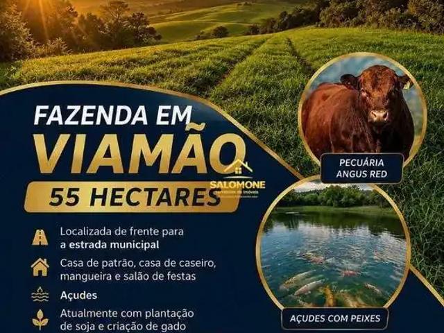 Fazenda venda em Região Geográfica Imediata de Porto Alegre, Região Metropolitana de Porto Alegre