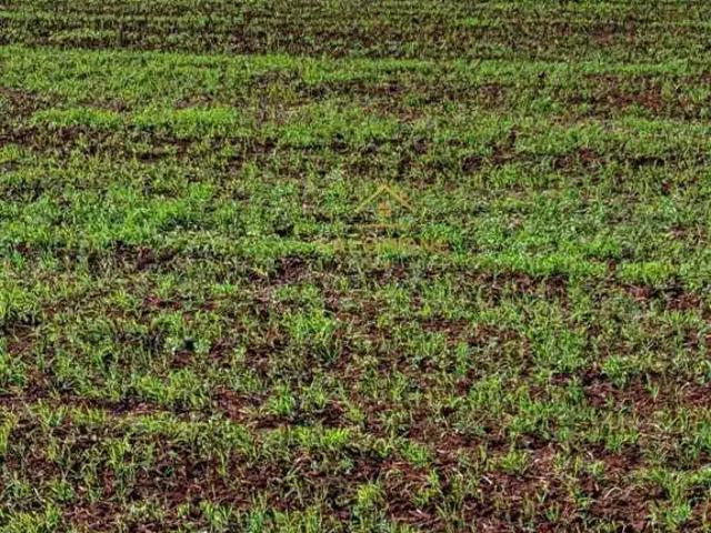 Fazenda venda em Região Geográfica Imediata de Porto Alegre, Região Metropolitana de Porto Alegre