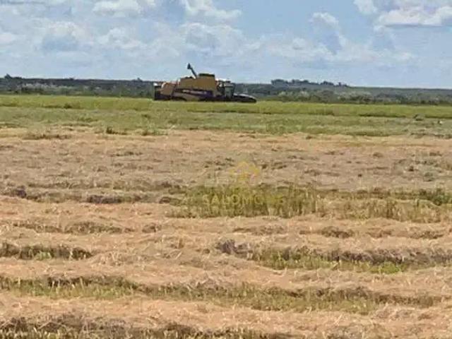 Fazenda venda em Região Geográfica Imediata de Porto Alegre, Região Metropolitana de Porto Alegre
