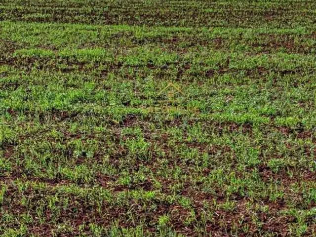 Fazenda venda em Região Geográfica Imediata de Porto Alegre, Região Metropolitana de Porto Alegre